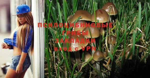 трава Няндома