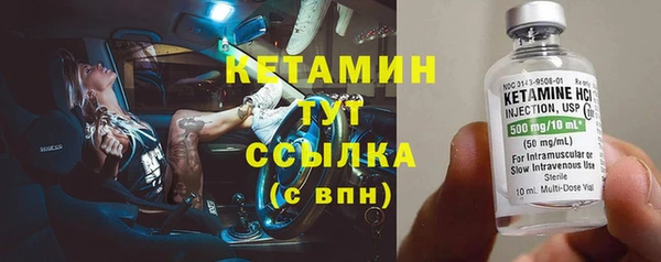 трава Няндома