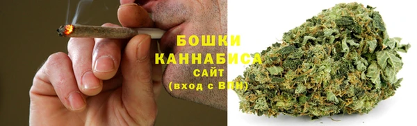 трава Няндома