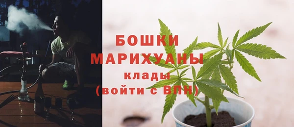 spice Ладушкин