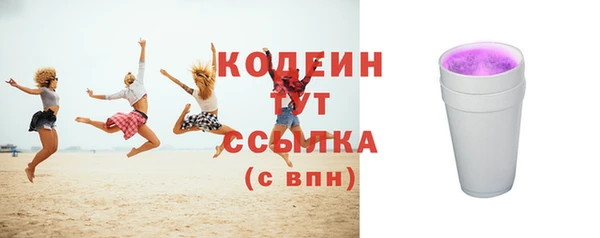 трава Няндома