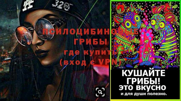 молекула духа Нязепетровск