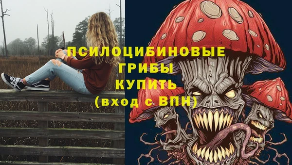 трава Няндома