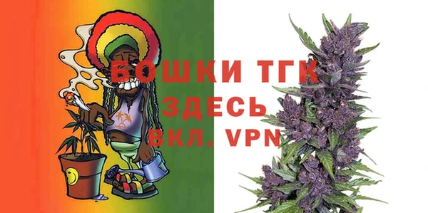 трава Няндома