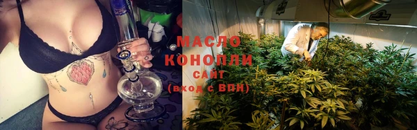 молекула духа Нязепетровск