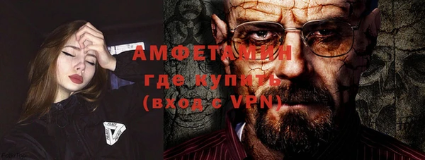 трава Няндома