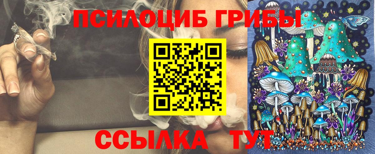 Светлоград  Псилоцибиновые грибы Psilocybe  Вход с VPN  Псилоцибиновые грибы GOLDEN TEACHER 