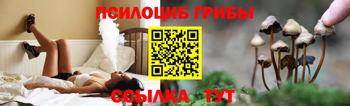 Псилоцибиновые грибы MAGIC MUSHROOMS  Галлюциногенные грибы мицелий  Светлоград 